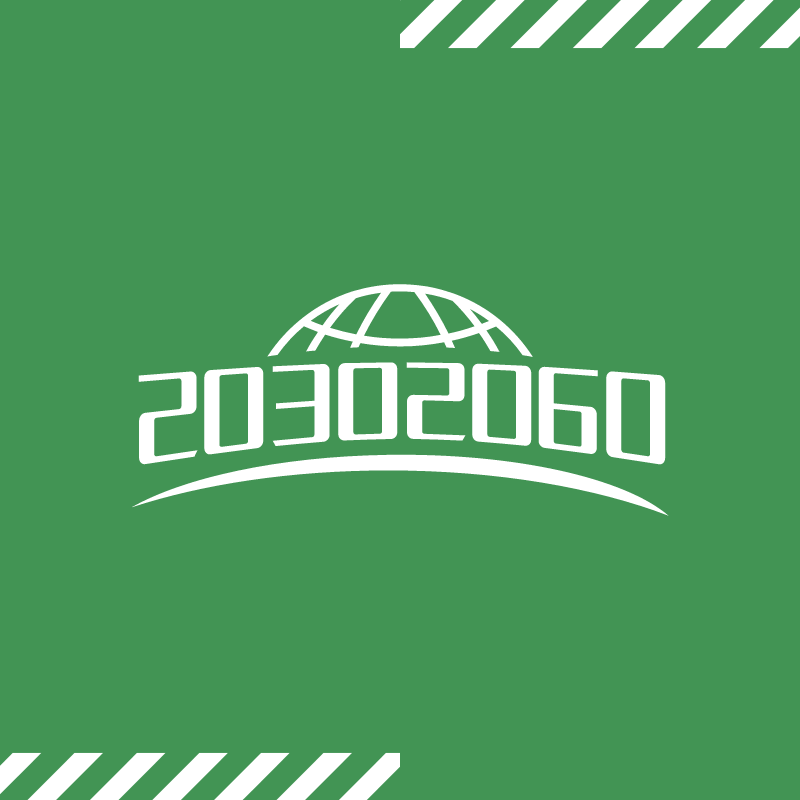 20302060 双碳目标标识